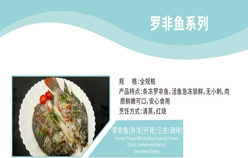 Frozen Tilapia(Whole/Back Cutted/Frozen Gilled,Gutted and Scaled)Seasoned Tilapia Frozen Tilapia(Whole/Back Cutted/Frozen Gilled,Gutted and Scaled)Seasoned Tilapia