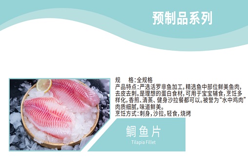 Tilapia Fillet Tilapia Fillet